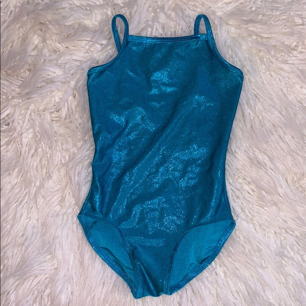 Shimmery blue leotard